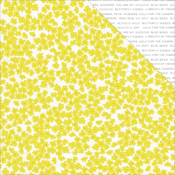 PAPELES CITRUS PINK PAISLEE (Elige el diseño)